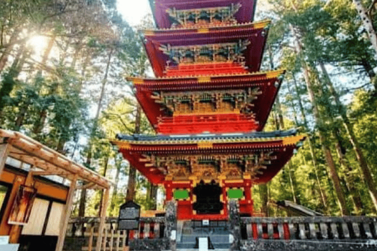 Desde Tokio: Excursión privada de un día a Nikko, Patrimonio de la Humanidad