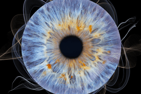 Montreal: Imaginarium Museum Immersive Selfie + Iris Capture Combo Montreal: Imaginarium Museum Immersive Selfie + Iris Scan Combo