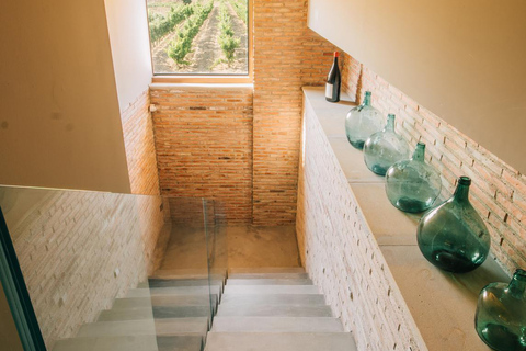 La Rioja: CM Matarromera Winery Tour
