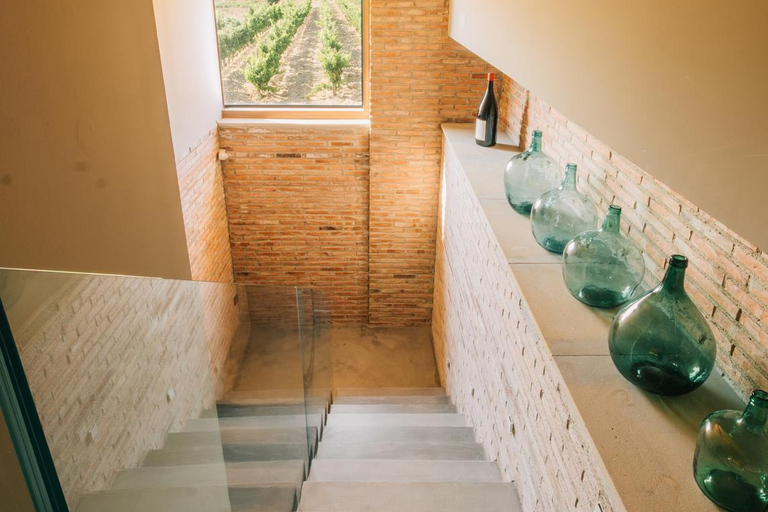 La Rioja: CM Matarromera Winery Tour