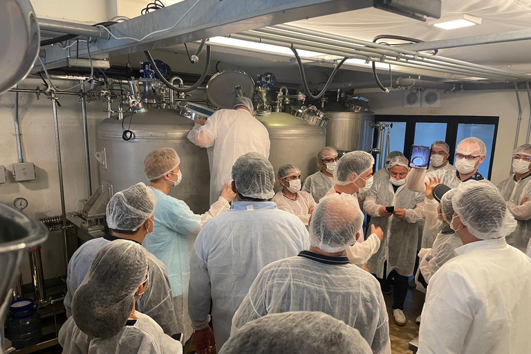 Seoul: Craft Makgeolli Brouwerij Tour &amp; ProefervaringPremium Makgeolli &amp; Food Pairing ervaring