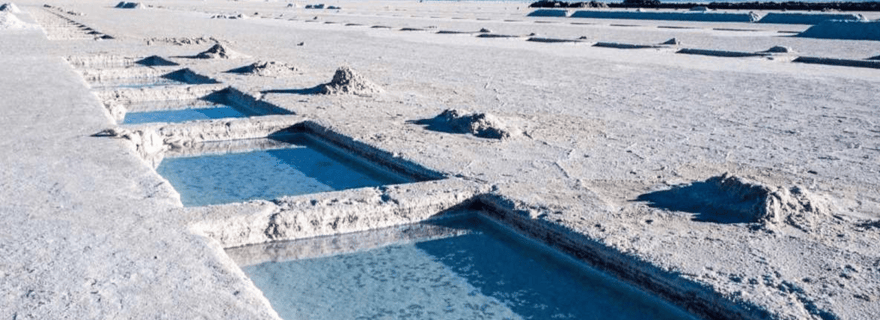 Depuis Salta : Excursions d'une journée à Cafayate et Salinas Grandes