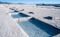 Von Salta, Tagestouren von Cafayate und Salinas Grandes - Hizvo