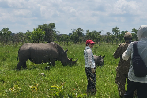 From Kampala: Ziwa Rhino Sanctuary Day Tour with Lunch