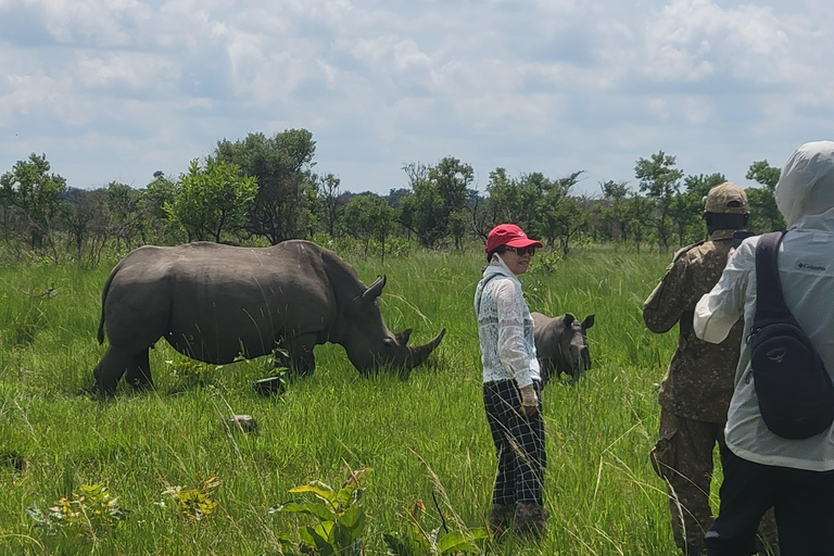From Kampala: Ziwa Rhino Sanctuary Day Tour with Lunch