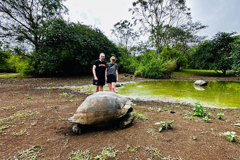 The Galapagos Giant Tortoise Experience | Iconic Shared Tour The Galapagos Iconic Giant Tortoise Experience | Shared