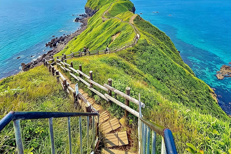 Otaru, Yoichi Distillery & Cape Kamui (Shakotan) Day Trip Upgrade to Private Tour