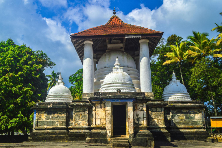 Guided City Tour with Ambuluwawa and Pinnawala