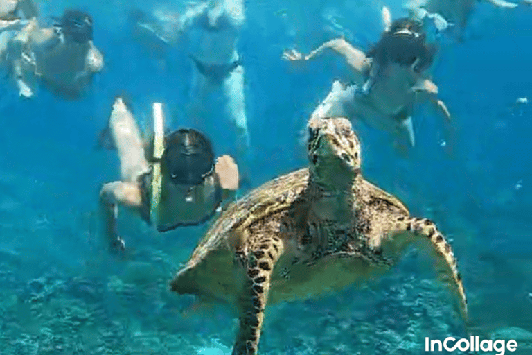 Gili eiland : Groep/Share Snorkeltour 3 gili eilandenGroep/Share Snorkeltour per Glazen Bodem Boot