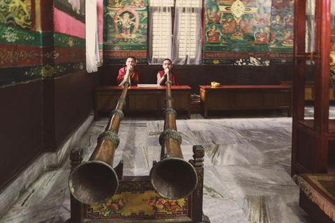 Shanghai: 10-Day Tibet Train Tour with Everest Base Camp