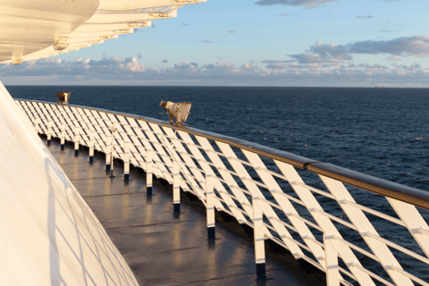 Helsinki: Ferry Journey Between Helsinki and Tallinn One-Way Ferry Journey from Helsinki to Tallinn