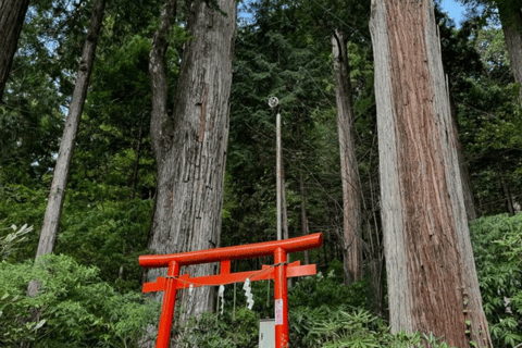 From Tokyo: Nikko Private Tour with Toshogu Shrine & Falls
