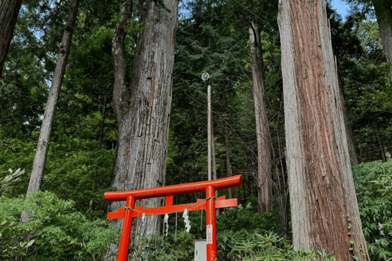 From Tokyo: Nikko Private Tour with Toshogu Shrine & Falls