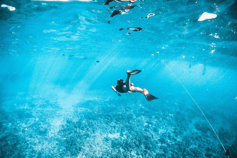 Kotor: excursión en lancha motora con visita a la Cueva Azul y la bahía de BokaKotor: excursión privada en lancha rápida con visita a la Cueva Azul y la bahía de Boka