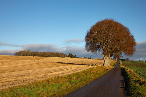 Schottland: Fotografie Private Tour mit Profi-FotografPrivate Tour durch die schottischen Highlands 8 Std.