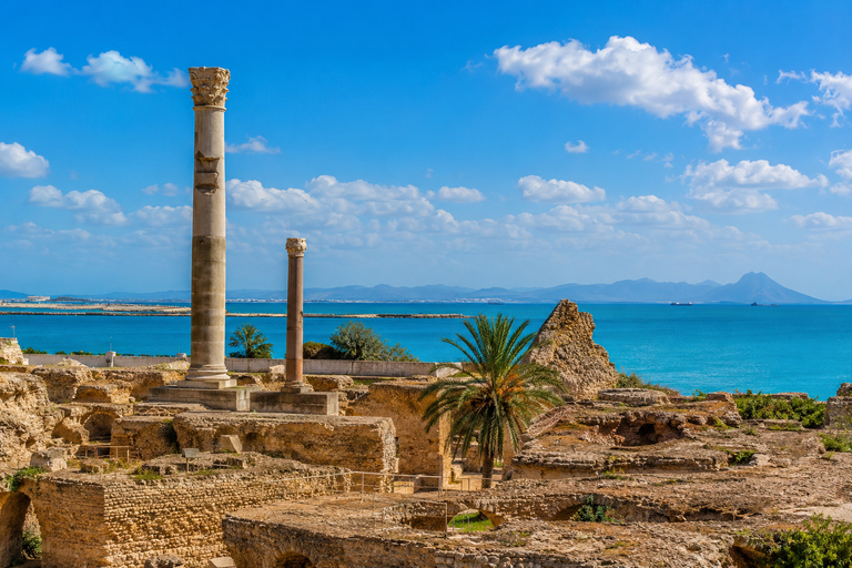 Hammamet: Carthage, Sidi Bou Said, and the Medina of Tunis with lunch