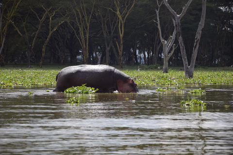 Hell's Gate e Lago Naivasha: tour in bicicletta, escursione e giro in barcaAvventura a Hell's Gate (da Nairobi)