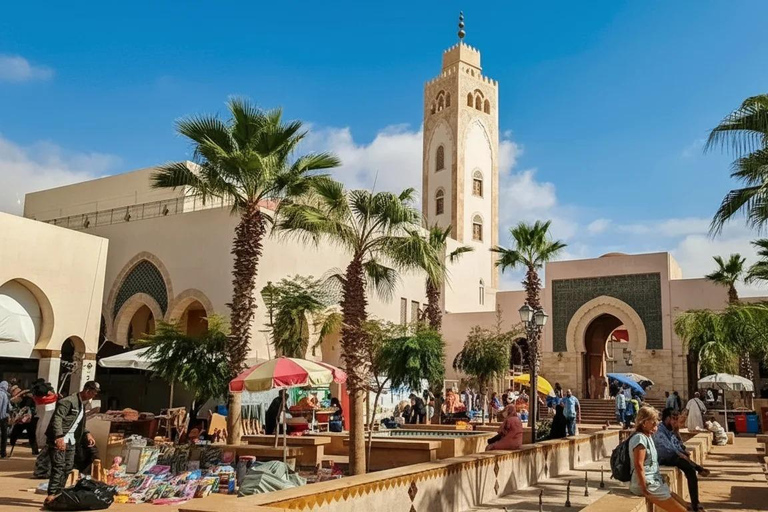 Agadir/Taghazout: Old Medina of Coco Polizzi and Agadir Tour