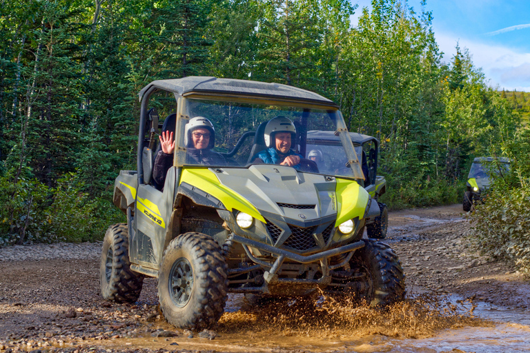 Denali ATV Wilderness Adventure - Guided ATV Tour Enclosed Side by Side ATV - 2 passengers
