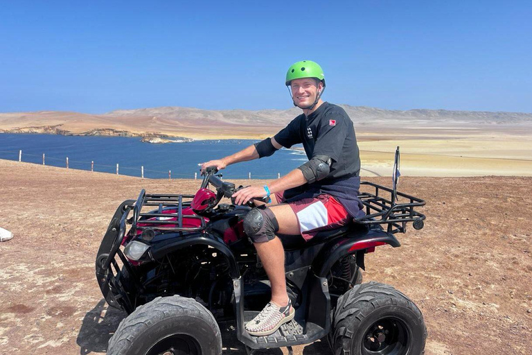 Paracas: Golden Shadows Experience on ATV / Minibuggy Paracas: Golden Shadows Experience on an ATV / Minibuggy