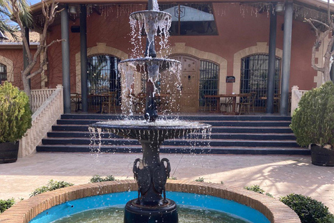 Alicante: Wine tasting tour with transfer