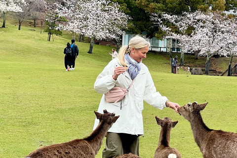 Da Osaka/Kyoto:Tour privato di un giorno Kyoto-NaraDa Osaka/Kyoto:Tour privato di Kyoto~Nara con escursione giornaliera