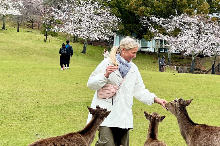 De Osaka/Kyoto: Tour particular de um dia por Kyoto-NaraDe Osaka/Kyoto:Excursão particular de 1 dia a Kyoto~Nara