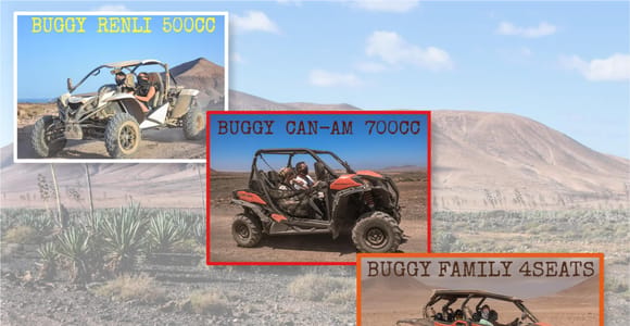 Fuerteventura: Dune Buggy Tour in Northern Fuerteventura