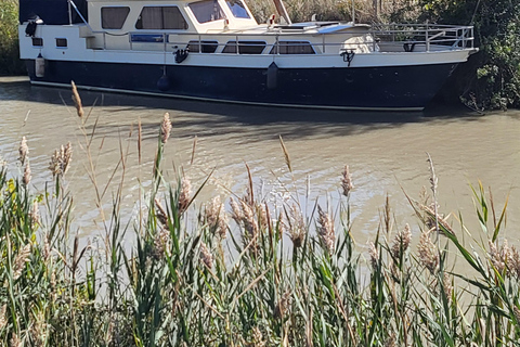 Private gourmet cruise on the Canal du Midi Private gourmet day cruise on the Canal du Midi