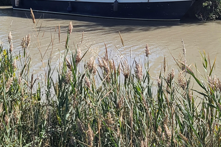 Private gourmet cruise on the Canal du Midi Private gourmet day cruise on the Canal du Midi