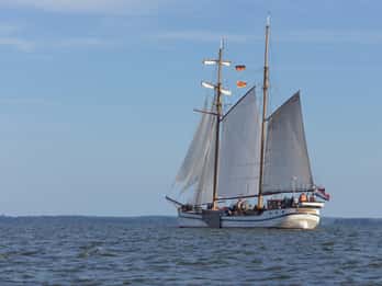 Usedom: Sailing tour on an exclusive tall ship Wednesday