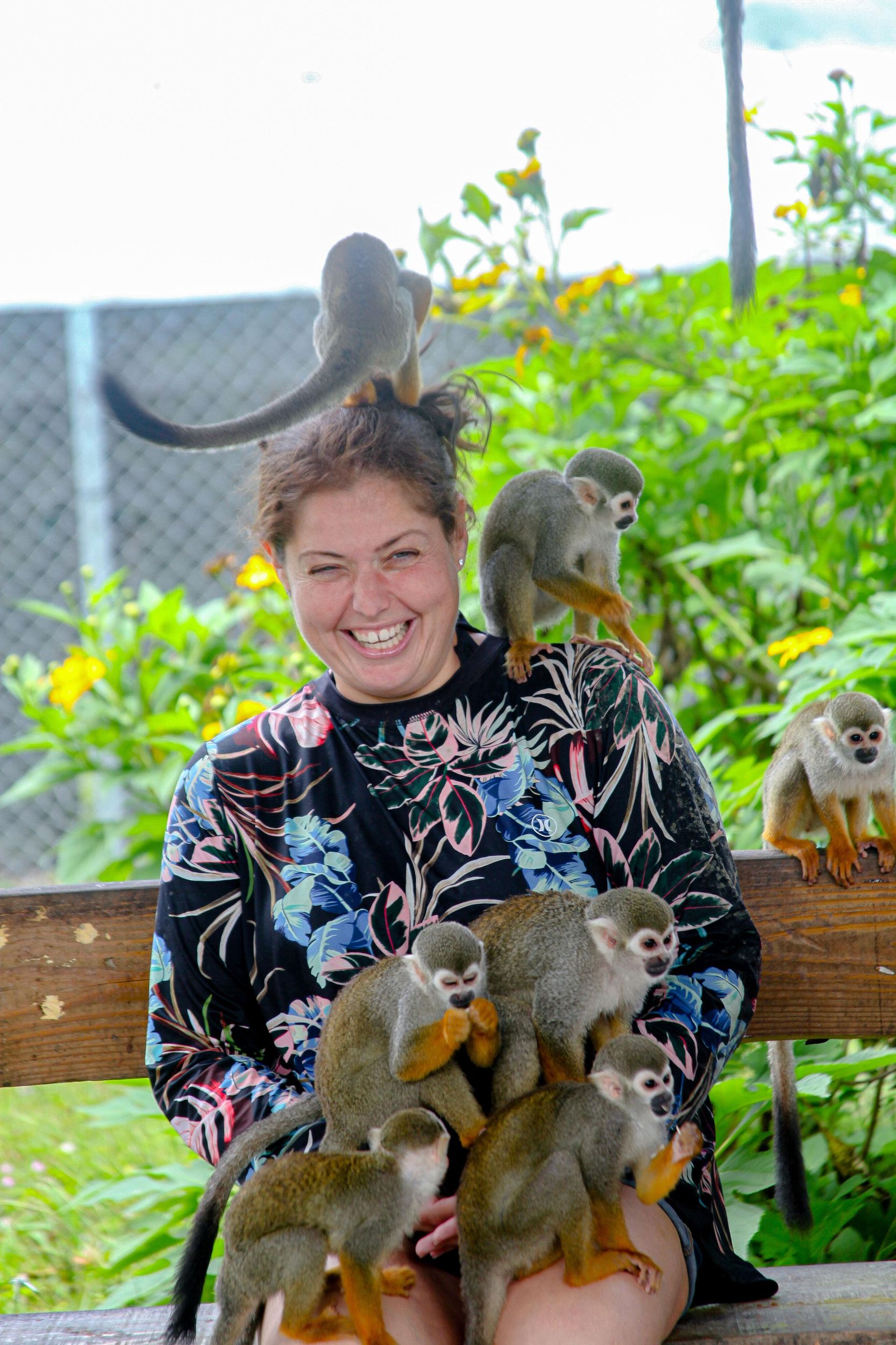 Ausflug nach Monkey Land plus 3 verschiedene Touroptionen zur Auswahl!