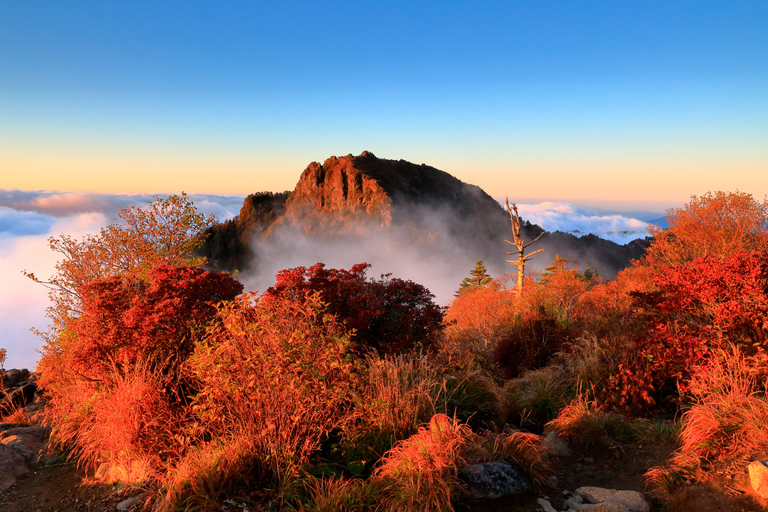 Busan: Mt. Jiri or Juwangsan Park Autumn Foliage Day Tour JIRISAN Foliage Shared Tour, Meet at Haeundae Station