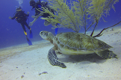 From Maputo: Sabi Sands Reserve 3-Day Safari