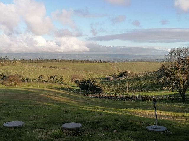 Adelaide Hills Private Wine Tour + Your Chosen Tastings