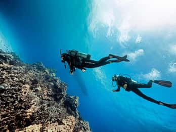 Bali/Amed: 2 inmersiones divertidas para buceadores certificados con traslados