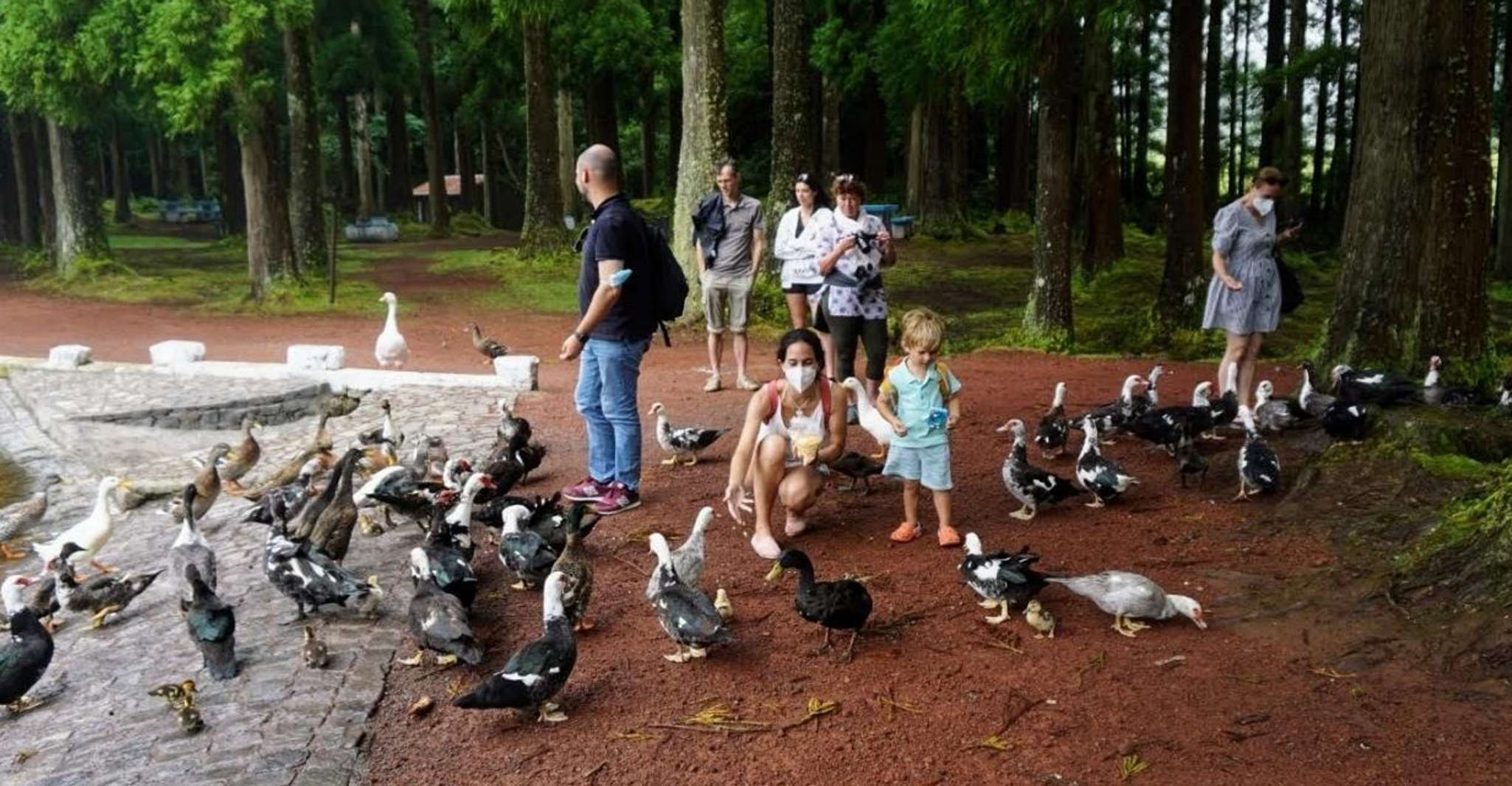 Terceira Island, Algar do Carvão - The Caves Tour - Housity