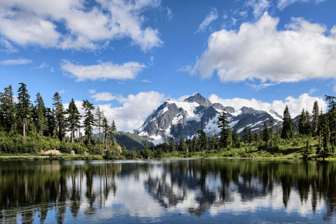Seattle: Mt. Baker & North Cascades Full-Day Shared Tour
