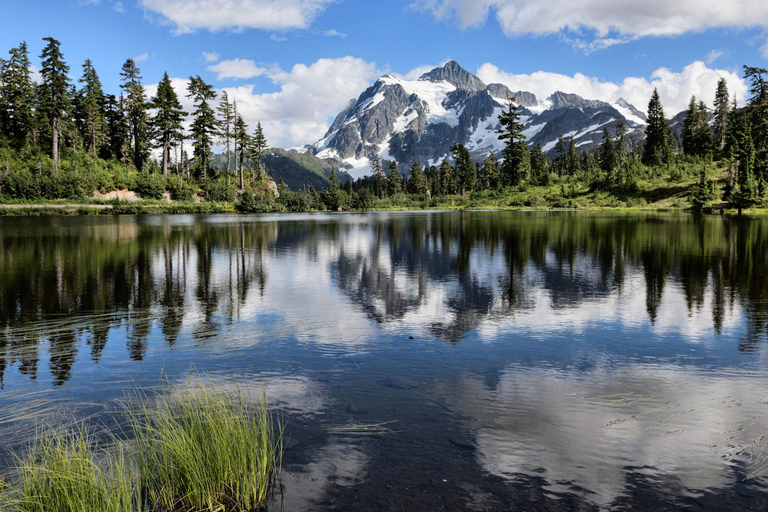 Seattle: Mt. Baker & North Cascades Full-Day Shared Tour