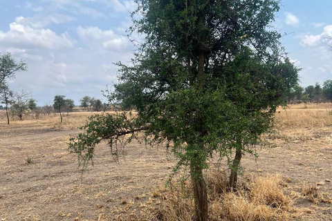 From Zanzibar: 3-Day Mikumi Wildlife Safari, 2 Nights