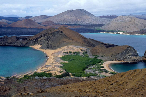 Galapagos Intensif 5 jours, base terrestre (3 îles)