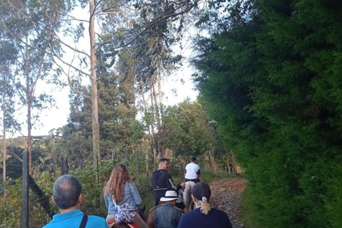 Medellin: Horseback Riding & Craft Beer, The Perfect Plan in the East