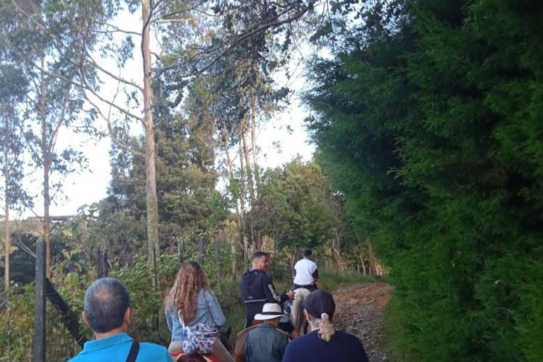 Medellin: Horseback Riding & Craft Beer, The Perfect Plan in the East