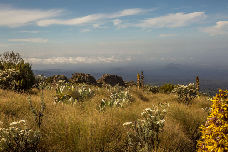 4 jours au Mont Kenya : Randonnée palpitante sur la route du Sirimon