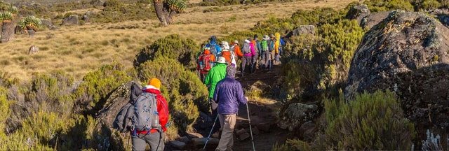 Moshi: Shira Plateau Day Trip with Hike and Scenic Drive