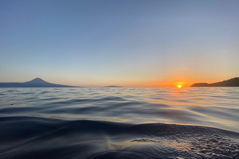 Snorkeltur i grottor med båt