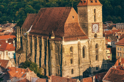 Private DayTrip Bucharest: Brașov, Dracula, Bear Sanctuary