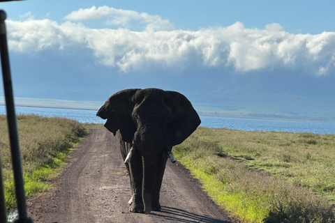 4-Days Group Safari Tour Tarangire, Serengeti & Ngorongoro 4-Days Group Safari Tarangire, Serengeti & Ngorongoro