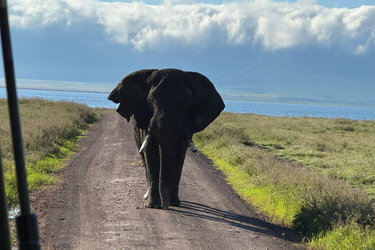 4-Days Group Safari Tour Tarangire, Serengeti & Ngorongoro 4-Days Group Safari Tarangire, Serengeti & Ngorongoro