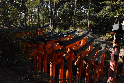 Insidan av Fushimi Inari - utforskning och lunch med lokalbefolkningen